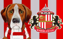 Sunderland News Hound